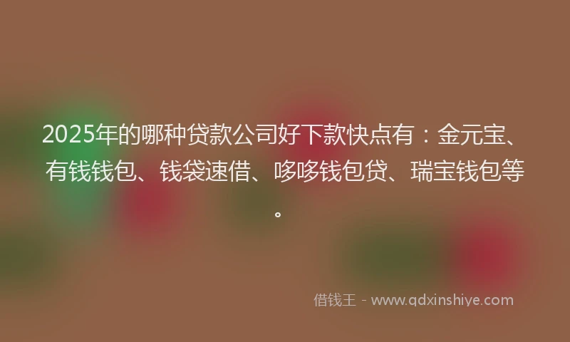 2025年的哪种贷款公司好下款快点有：金元宝、有钱钱包、钱袋速借、哆哆钱包贷、瑞宝钱包等。