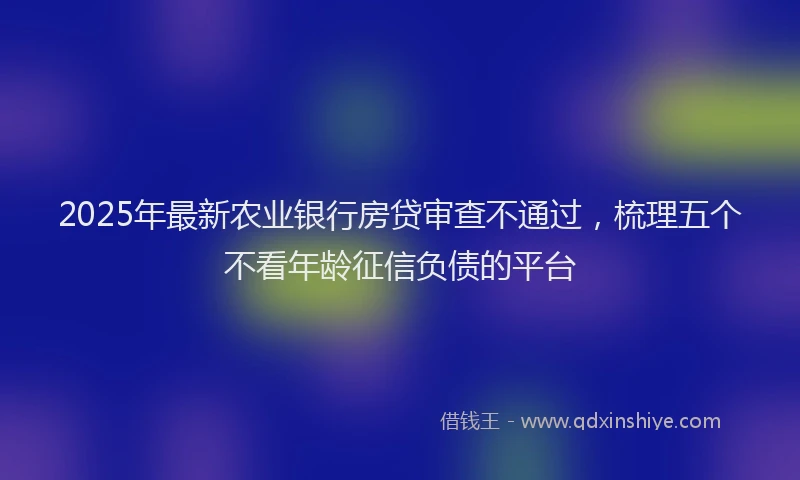 2025年最新农业银行房贷审查不通过，梳理五个不看年龄征信负债的平台