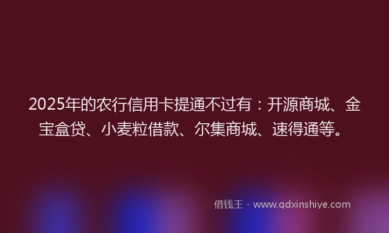 2025年的农行信用卡提通不过有：开源商城、金宝盒贷、小麦粒借款、尔集商城、速得通等。
