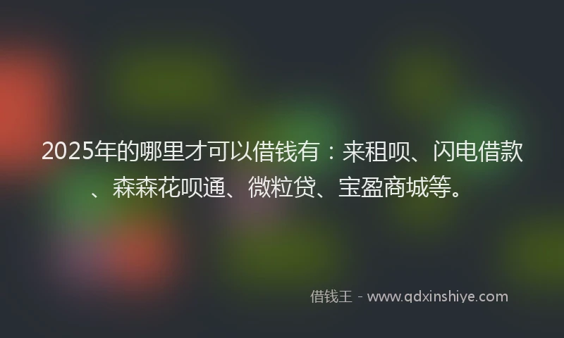 2025年的哪里才可以借钱有：来租呗、闪电借款、森森花呗通、微粒贷、宝盈商城等。