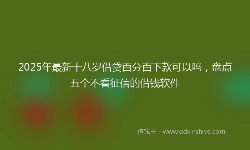 2025年最新十八岁借贷百分百下款可以吗，盘点五个不看征信的借钱软件