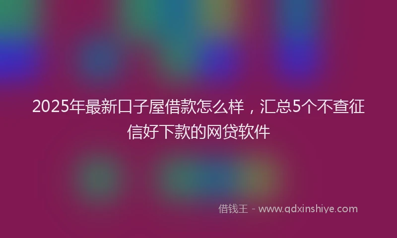 2025年最新口子屋借款怎么样，汇总5个不查征信好下款的网贷软件
