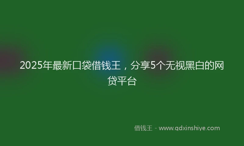 2025年最新口袋借钱王，分享5个无视黑白的网贷平台