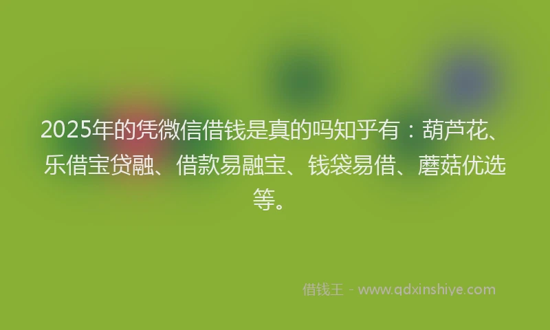 2025年的凭微信借钱是真的吗知乎有：葫芦花、乐借宝贷融、借款易融宝、钱袋易借、蘑菇优选等。