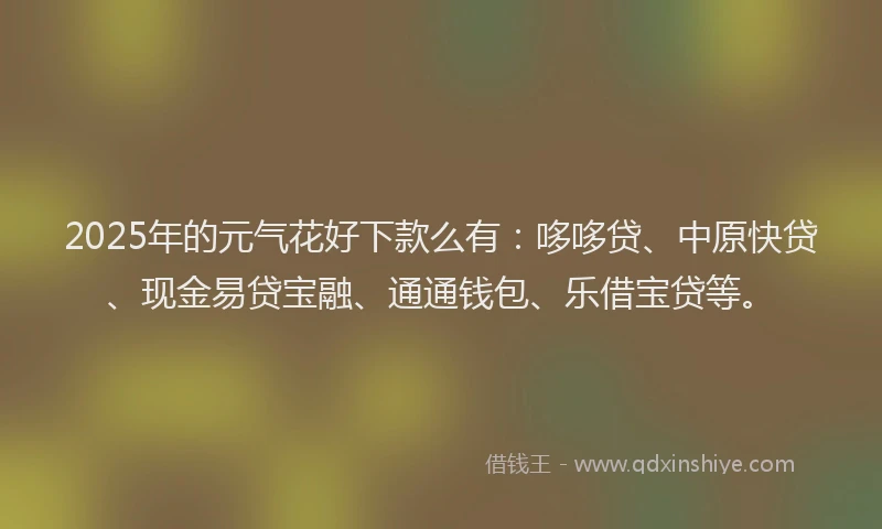 2025年的元气花好下款么有：哆哆贷、中原快贷、现金易贷宝融、通通钱包、乐借宝贷等。
