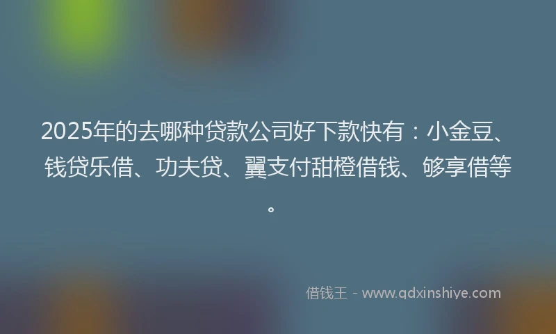 2025年的去哪种贷款公司好下款快有：小金豆、钱贷乐借、功夫贷、翼支付甜橙借钱、够享借等。
