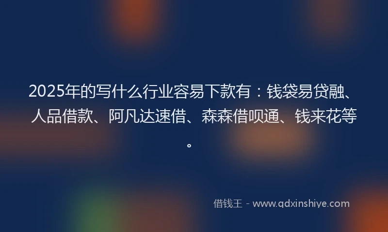 2025年的写什么行业容易下款有：钱袋易贷融、人品借款、阿凡达速借、森森借呗通、钱来花等。