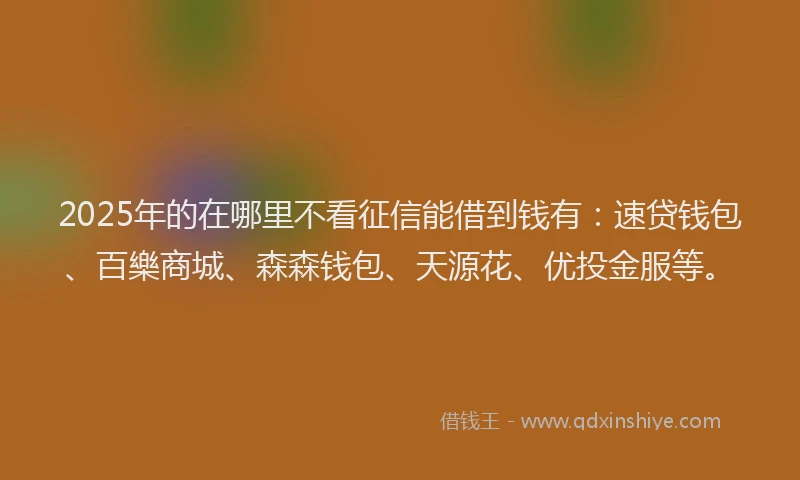 2025年的在哪里不看征信能借到钱有：速贷钱包、百樂商城、森森钱包、天源花、优投金服等。