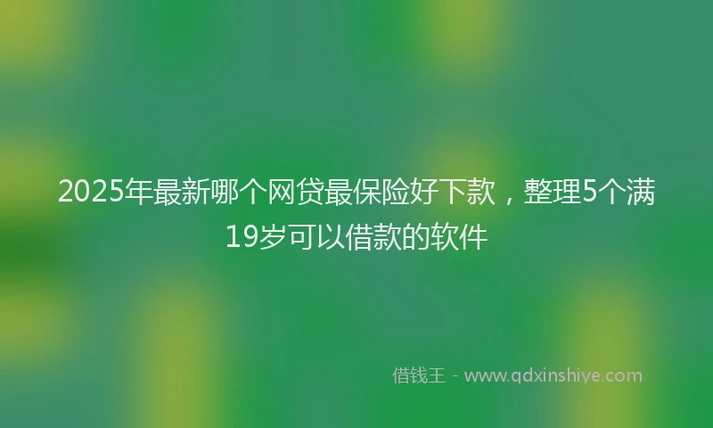 2025年最新哪个网贷最保险好下款，整理5个满19岁可以借款的软件