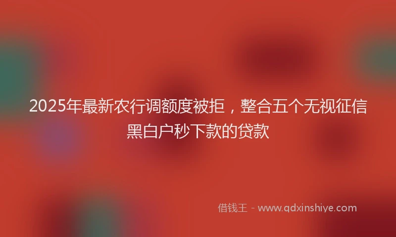 2025年最新农行调额度被拒，整合五个无视征信黑白户秒下款的贷款