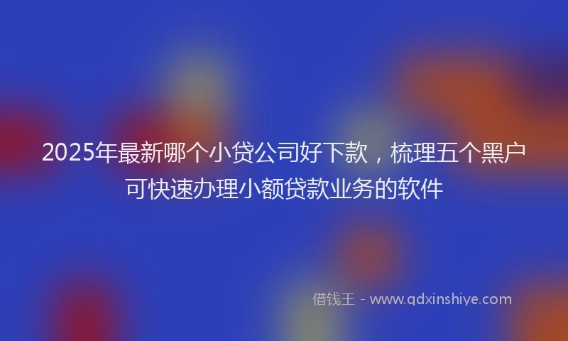 2025年最新哪个小贷公司好下款，梳理五个黑户可快速办理小额贷款业务的软件