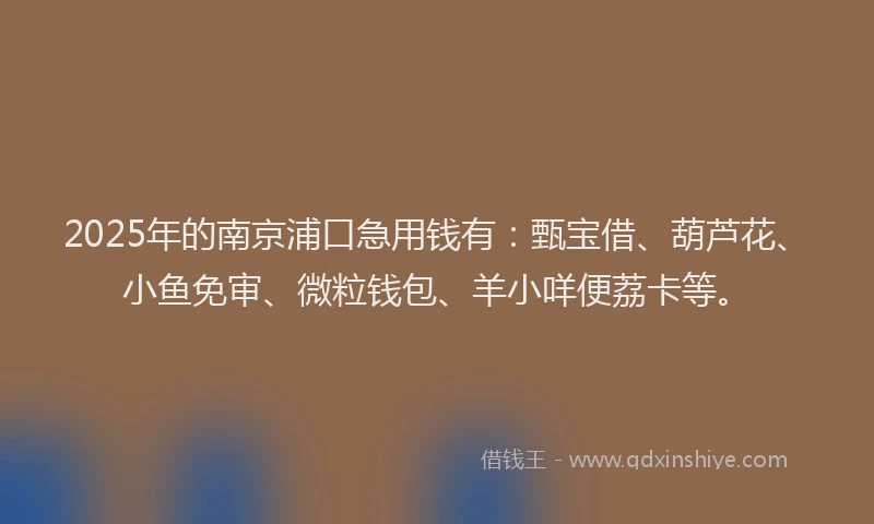 2025年的南京浦口急用钱有：甄宝借、葫芦花、小鱼免审、微粒钱包、羊小咩便荔卡等。