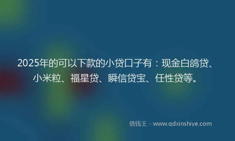 2025年的可以下款的小贷口子有：现金白鸽贷、小米粒、福星贷、瞬信贷宝、任性贷等。