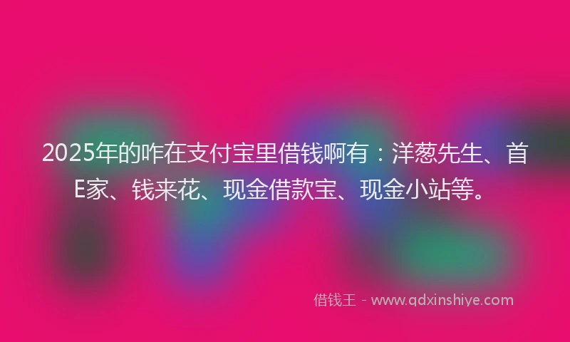 2025年的咋在支付宝里借钱啊有：洋葱先生、首E家、钱来花、现金借款宝、现金小站等。