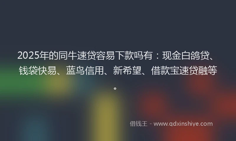 2025年的同牛速贷容易下款吗有：现金白鸽贷、钱袋快易、蓝鸟信用、新希望、借款宝速贷融等。