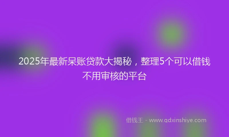2025年最新呆账贷款大揭秘，整理5个可以借钱不用审核的平台