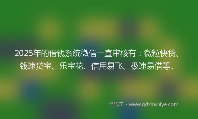 2025年的借钱系统微信一直审核有：微粒快贷、钱速贷宝、乐宝花、信用易飞、极速易借等。