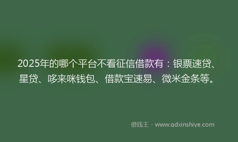 2025年的哪个平台不看征信借款有：银票速贷、星贷、哆来咪钱包、借款宝速易、微米金条等。
