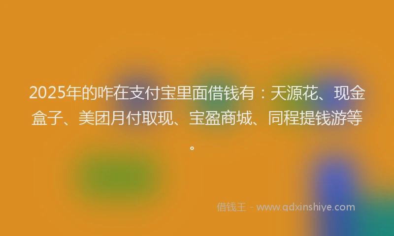 2025年的咋在支付宝里面借钱有：天源花、现金盒子、美团月付取现、宝盈商城、同程提钱游等。