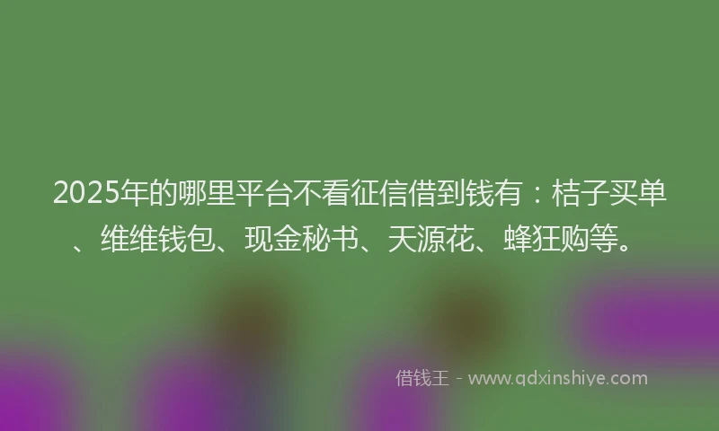 2025年的哪里平台不看征信借到钱有：桔子买单、维维钱包、现金秘书、天源花、蜂狂购等。