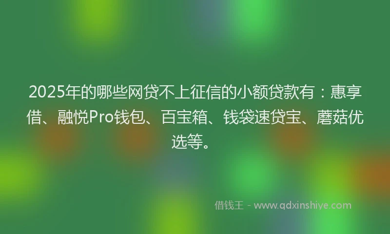 2025年的哪些网贷不上征信的小额贷款有：惠享借、融悦Pro钱包、百宝箱、钱袋速贷宝、蘑菇优选等。