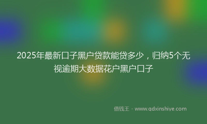 2025年最新口子黑户贷款能贷多少，归纳5个无视逾期大数据花户黑户口子