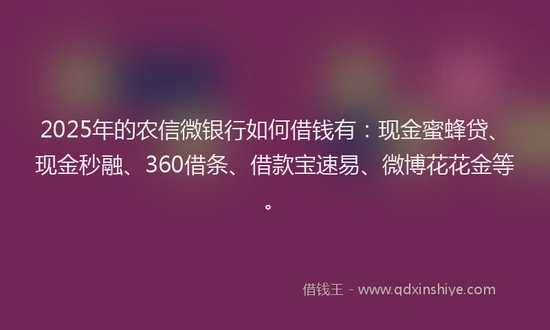 2025年的农信微银行如何借钱有：现金蜜蜂贷、现金秒融、360借条、借款宝速易、微博花花金等。