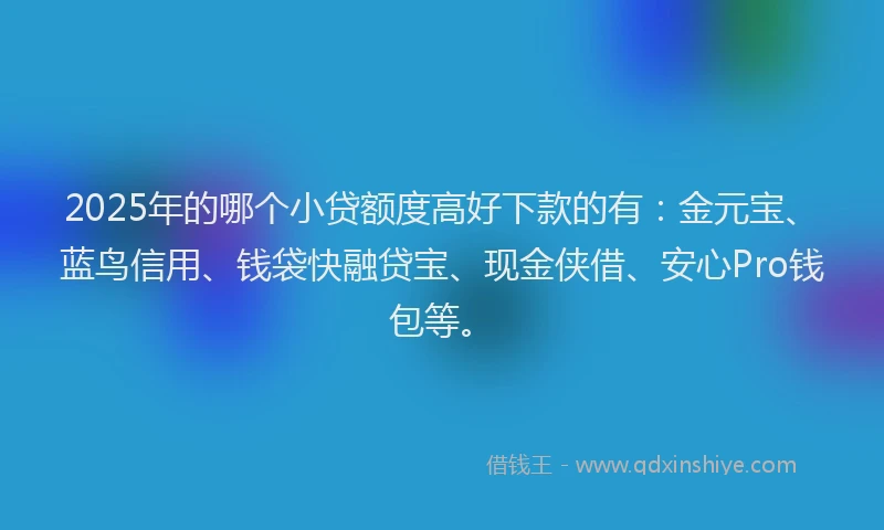2025年的哪个小贷额度高好下款的有：金元宝、蓝鸟信用、钱袋快融贷宝、现金侠借、安心Pro钱包等。