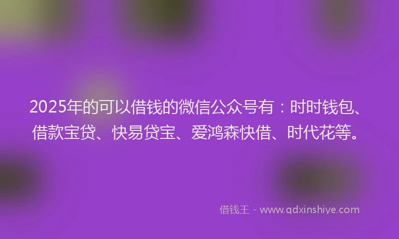 2025年的可以借钱的微信公众号有：时时钱包、借款宝贷、快易贷宝、爱鸿森快借、时代花等。
