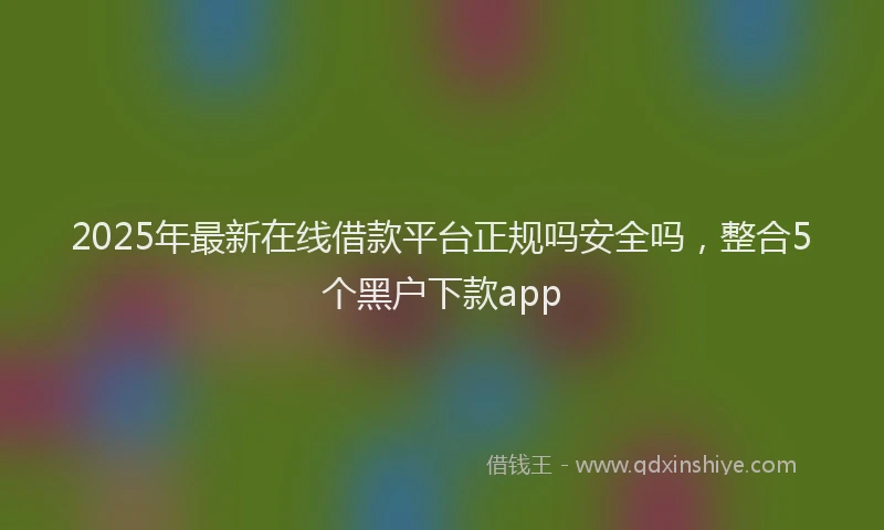 2025年最新在线借款平台正规吗安全吗，整合5个黑户下款app