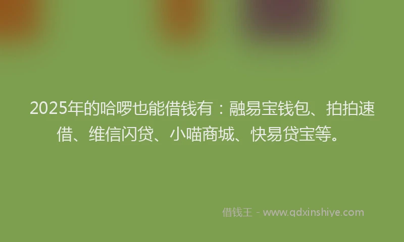 2025年的哈啰也能借钱有：融易宝钱包、拍拍速借、维信闪贷、小喵商城、快易贷宝等。