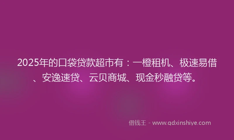 2025年的口袋贷款超市有：一橙租机、极速易借、安逸速贷、云贝商城、现金秒融贷等。
