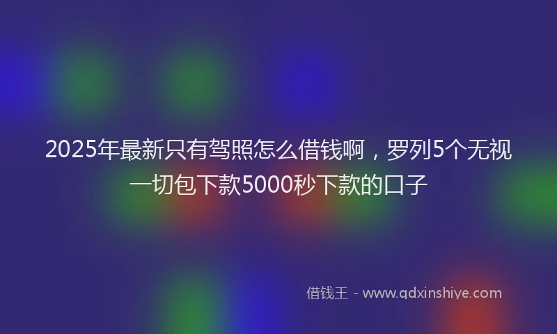 2025年最新只有驾照怎么借钱啊，罗列5个无视一切包下款5000秒下款的口子