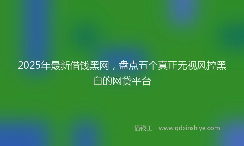 2025年最新借钱黑网，盘点五个真正无视风控黑白的网贷平台