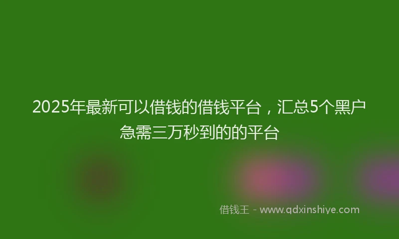 2025年最新可以借钱的借钱平台，汇总5个黑户急需三万秒到的的平台