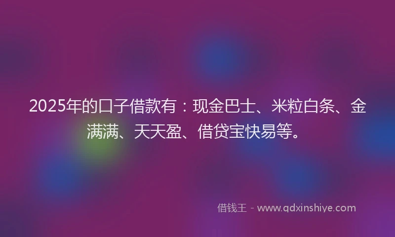 2025年的口子借款有：现金巴士、米粒白条、金满满、天天盈、借贷宝快易等。