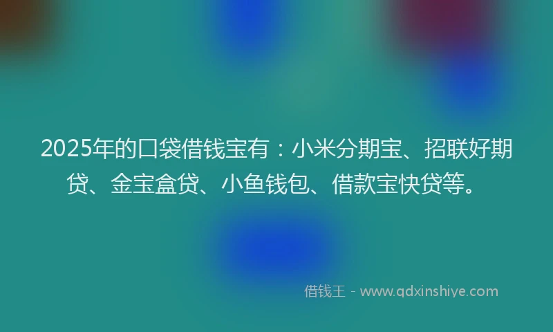 2025年的口袋借钱宝有：小米分期宝、招联好期贷、金宝盒贷、小鱼钱包、借款宝快贷等。
