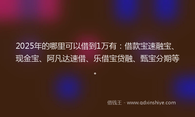 2025年的哪里可以借到1万有：借款宝速融宝、现金宝、阿凡达速借、乐借宝贷融、甄宝分期等。