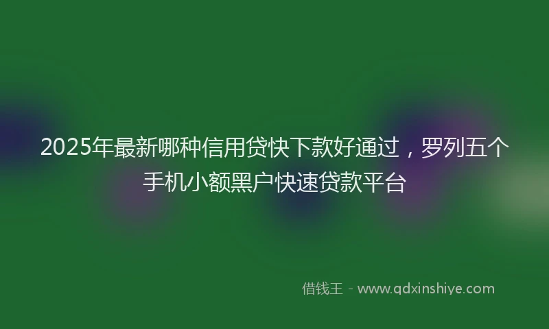 2025年最新哪种信用贷快下款好通过，罗列五个手机小额黑户快速贷款平台