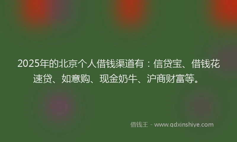 2025年的北京个人借钱渠道有：信贷宝、借钱花速贷、如意购、现金奶牛、沪商财富等。