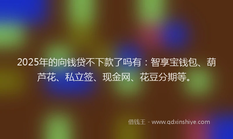 2025年的向钱贷不下款了吗有：智享宝钱包、葫芦花、私立签、现金网、花豆分期等。
