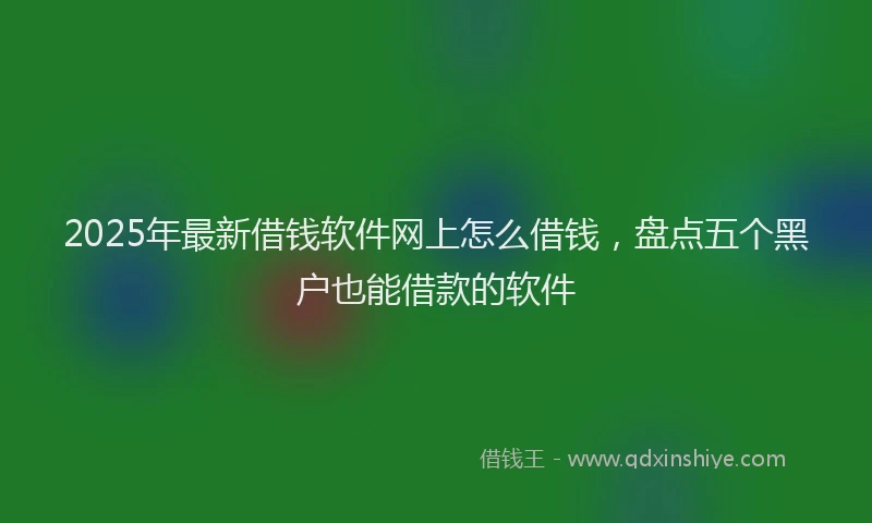 2025年最新借钱软件网上怎么借钱，盘点五个黑户也能借款的软件