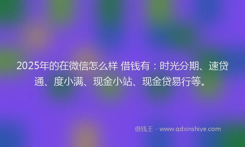 2025年的在微信怎么样 借钱有：时光分期、速贷通、度小满、现金小站、现金贷易行等。