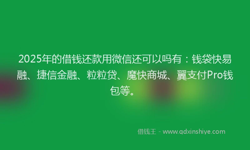 2025年的借钱还款用微信还可以吗有：钱袋快易融、捷信金融、粒粒贷、魔快商城、翼支付Pro钱包等。