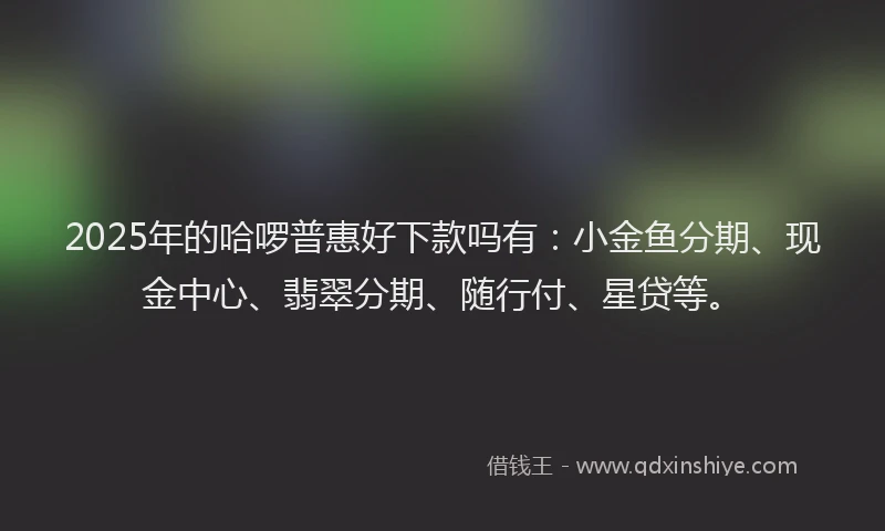 2025年的哈啰普惠好下款吗有：小金鱼分期、现金中心、翡翠分期、随行付、星贷等。