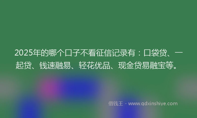 2025年的哪个口子不看征信记录有：口袋贷、一起贷、钱速融易、轻花优品、现金贷易融宝等。