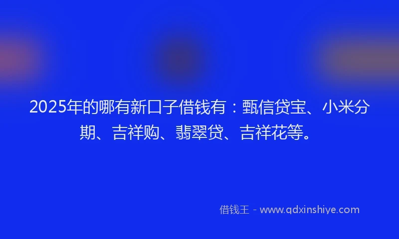 2025年的哪有新口子借钱有：甄信贷宝、小米分期、吉祥购、翡翠贷、吉祥花等。