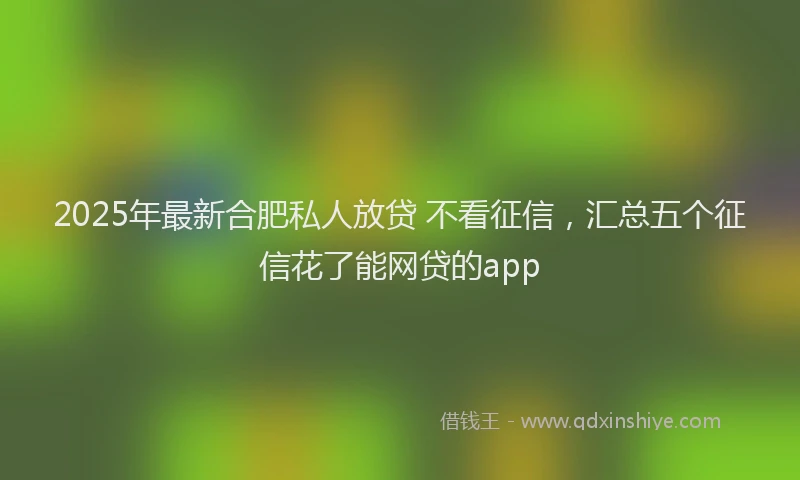 2025年最新合肥私人放贷 不看征信，汇总五个征信花了能网贷的app