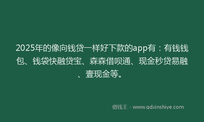 2025年的像向钱贷一样好下款的app有：有钱钱包、钱袋快融贷宝、森森借呗通、现金秒贷易融、壹现金等。