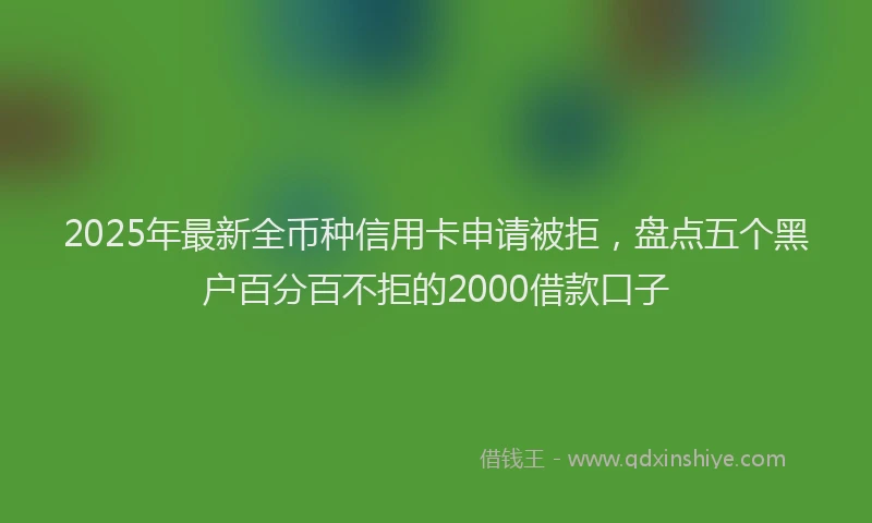 2025年最新全币种信用卡申请被拒，盘点五个黑户百分百不拒的2000借款口子